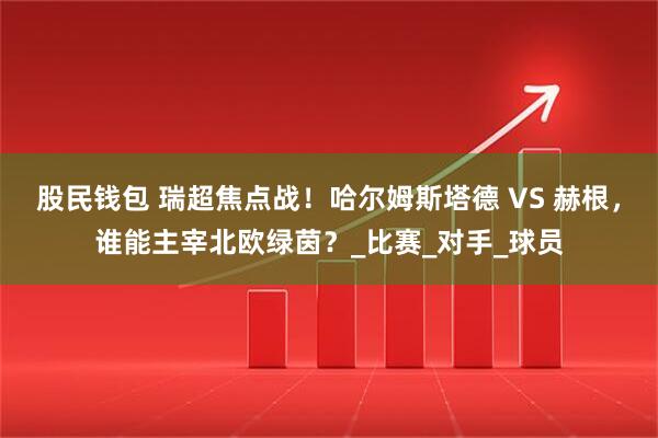 股民钱包 瑞超焦点战！哈尔姆斯塔德 VS 赫根，谁能主宰北欧绿茵？_比赛_对手_球员