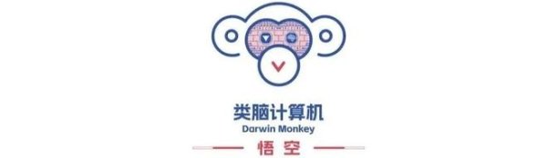 闻道资本 全球首台：浙大“悟空”类脑计算机问世，神经元数量超 20 亿