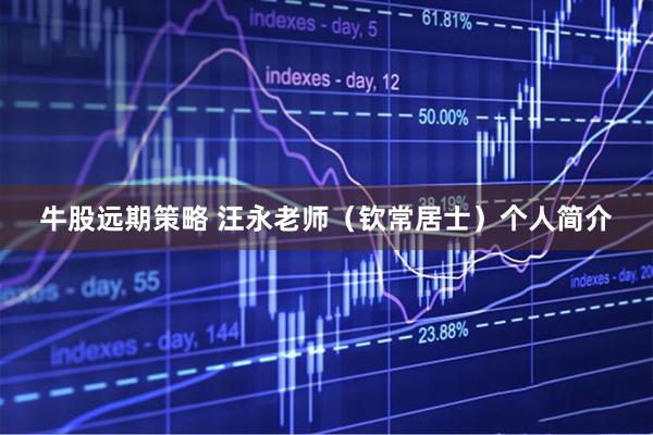 牛股远期策略 汪永老师（钦常居士）个人简介